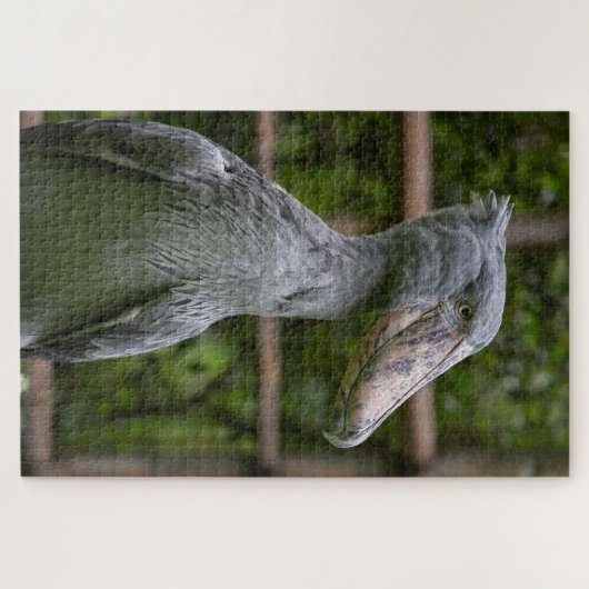 Schuppen (Balaeniceps rex) Puzzle (Horizontal)