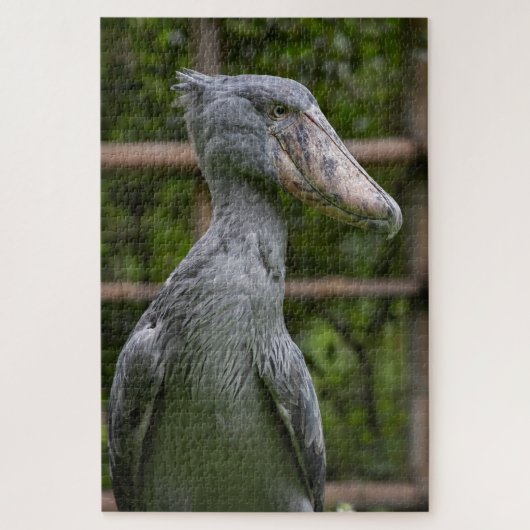 Schuppen (Balaeniceps rex) Puzzle (Vertikal)