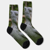 Schuppen (Balaeniceps rex) Socken (Rechts)