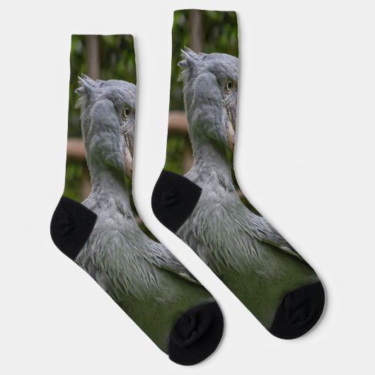 Schuppen (Balaeniceps rex) Socken (Rechts)