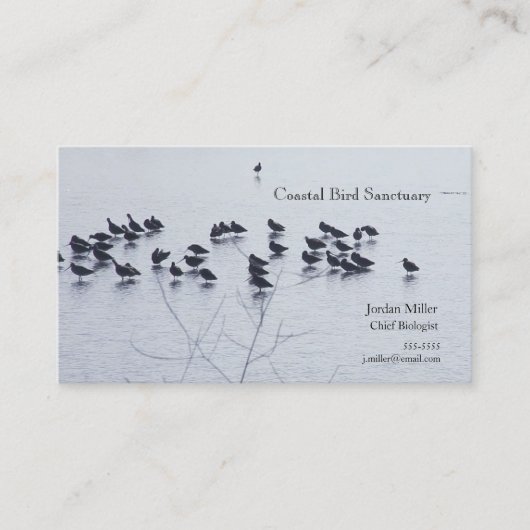 Schuppenvögel am See Visitenkarte (Vorderseite)