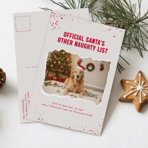 Schurkenliste Weihnachtsmann-Hut Hund Foto Weihnac Postkarte
