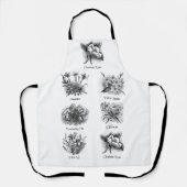 Schürze der botanischen Abbildungen (Vorderseite)