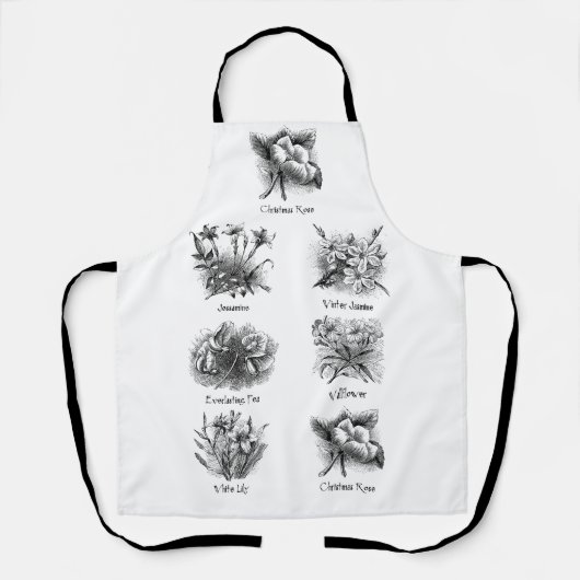 Schürze der botanischen Abbildungen (Vorderseite)