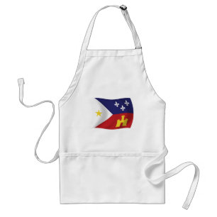 Schürze der Flagge Acadiana