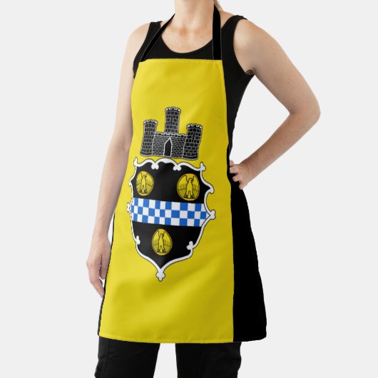 Schürze der Stadtflagge von Pittsburgh (InSitu)