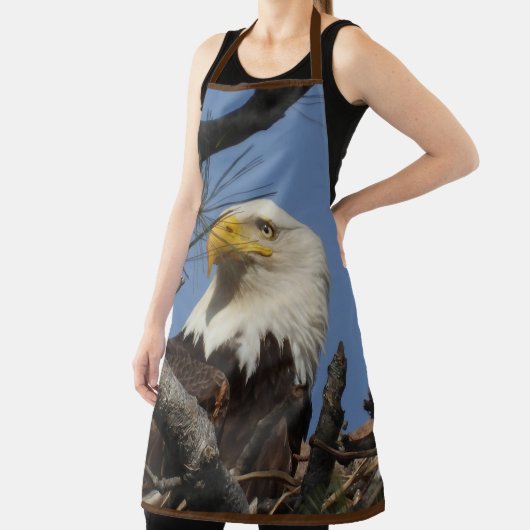 Schürze des männlichen Alpenadels (InSitu)