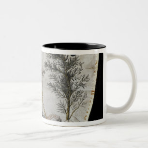 Schürze eines Meisters des Auftrages der Zweifarbige Tasse