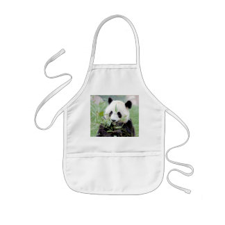 Schürze Foto Riesenpanda, Panda Geant. Tiere.
