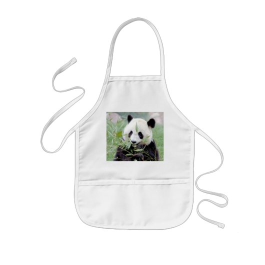 Schürze Foto Riesenpanda , Tiere 0084. (Vorne)