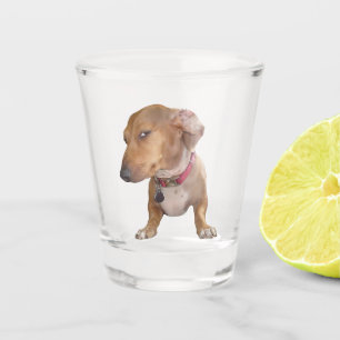 Schuss Glasseite Auge Dog Meme Schnapsglas