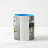 Schuss u. Meow Tasse (Zentrum)