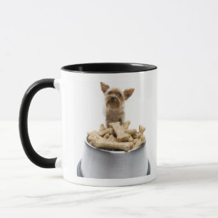 Schüssel HundeLeckereien durch Yorkshire-Terrier Tasse