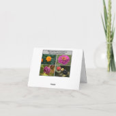 Schüssel mit Kirschen Karte (Rückseite)