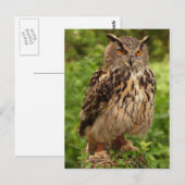 Schüssel Postkarte (Vorne/Hinten)