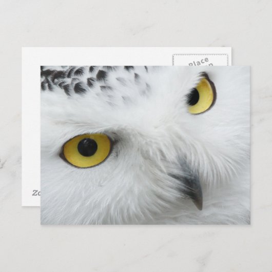 Schüssel Postkarte (Vorne/Hinten)