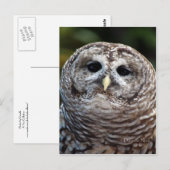 Schüssel Postkarte (Vorne/Hinten)