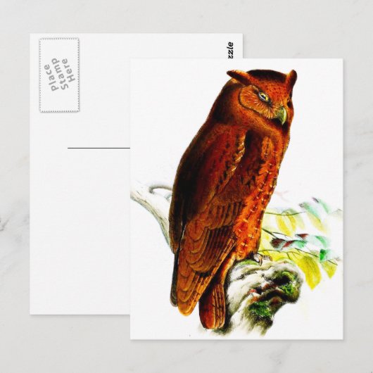 Schüssel Postkarte (Vorne/Hinten)