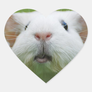 Schuster-Aufkleber Herz-Aufkleber