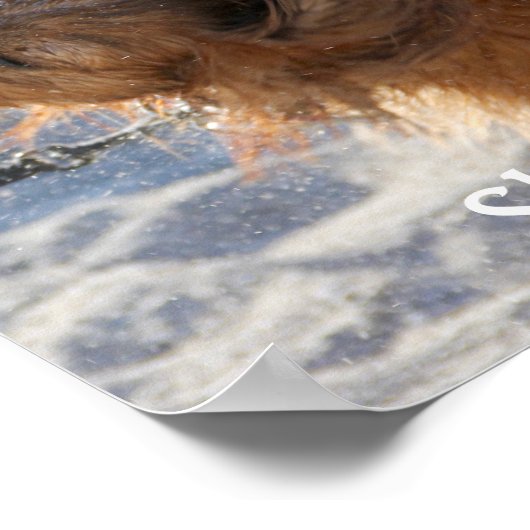 Schütteln Poster (Ecke)