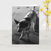 Schütteln Sie es! Karte (Gelbe Blume)