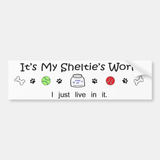 Schutz Autoaufkleber (Vorne)