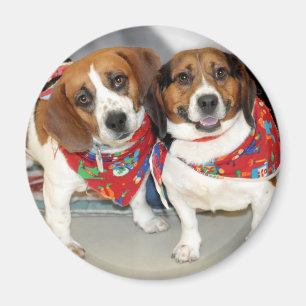 Schutz-Beagle-Foto Magnet
