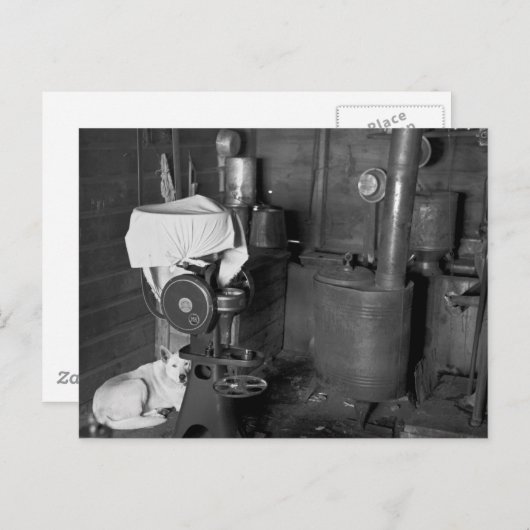 Schutz der Creme Separator, 1936 Postkarte (Vorne/Hinten)