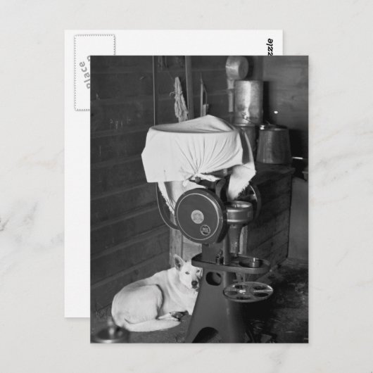 Schutz der Creme Separator, 1936 Postkarte (Vorne/Hinten)