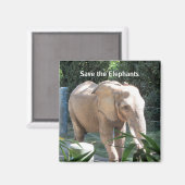Schutz der Elefanten Magnet (Vorderseite/Rückseite)