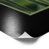 Schutz der Erweiterung des Fotos von Fledermäusen Fotodruck (Ecke)