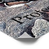 Schutz der wild lebenden Tiere Poster (Ecke)