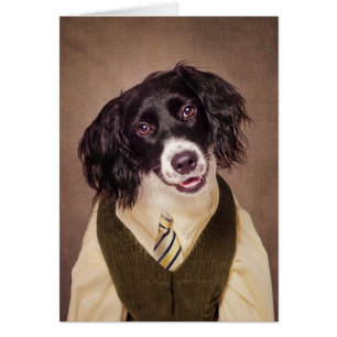 Schutz-Haustier-Projekt - Kanonenkugel