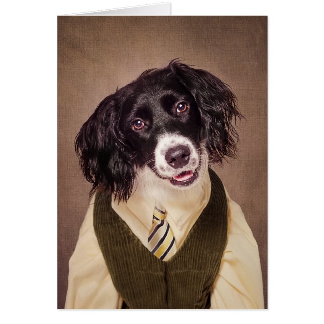 Schutz-Haustier-Projekt - Kanonenkugel (Vorne)