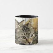 Schutz-Kätzchen Tasse (Zentrum)