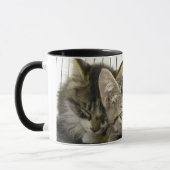 Schutz-Kätzchen Tasse (Links)