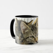 Schutz-Kätzchen Tasse (Vorderseite Links)