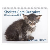 Schutz-Katzen-Verschnitte Kalender (Titelbild)