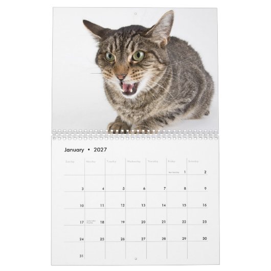 Schutz-Katzen-Verschnitte Kalender (Jan 2027)