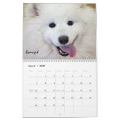 Schutz verfolgt Kalender (Mär 2027)
