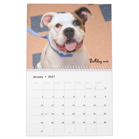 Schutz verfolgt Kalender (Jan 2027)