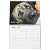 Schutz verfolgt Kalender (Feb 2027)