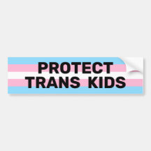 Schutz von Trans Kids | Verkehrsflagge