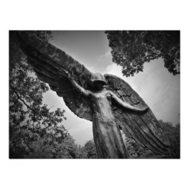 "Schutz vor oben" Fotodruck