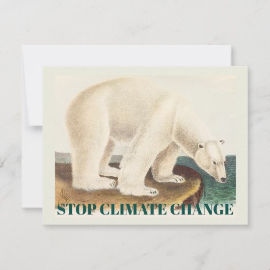 Schütze den Eisbären Klimawandel Kunst (Vorderseite)