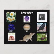 Schütze Dezember Geburtsmonat POSTKARTE