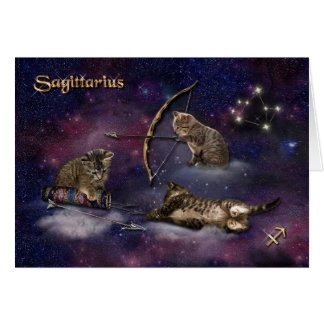 Schütze für Katzen