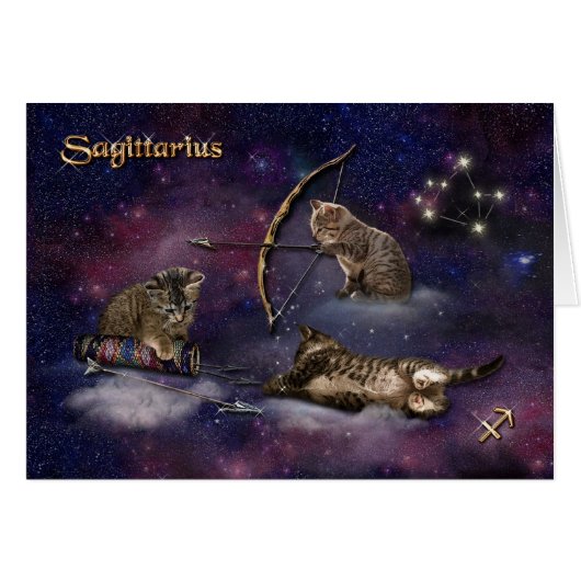 Schütze für Katzen (Vorderseite (Horizontal))