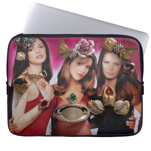 Schutzeinrichtungen für tragbare Computer Laptopschutzhülle (Vorderseite)