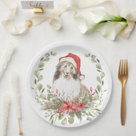Schutzeinrichtungen in einer Weihnachtsmannmütze Pappteller